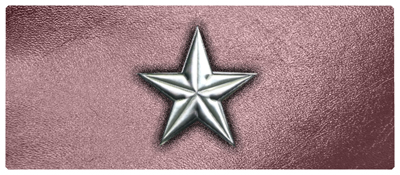 DNSEMP-L-430-SL-OR Star Silver-Orchid